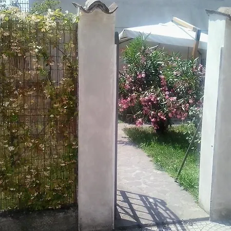 Alojamento de Acomodação e Pequeno-almoço Dragonfly Certosa di Pavia