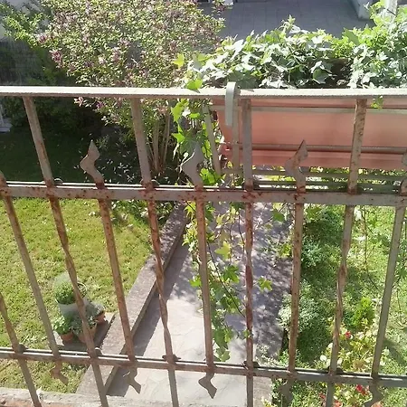 Bed & Breakfast Dragonfly 3*